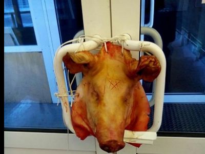 Свиная голова у входа в офис бизнесмена из Иркутска. Фото: facebook.com/leonid.m.volkov Свиная голова у входа в офис бизнесмена из Иркутска. Фото: facebook.com/leonid.m.volkov