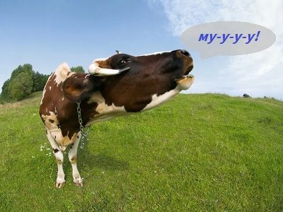 Корова Корова