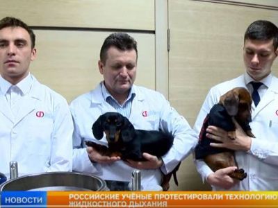 Перед демонстрацией "опыта" с утоплением таксы. Публикуется в www.facebook.com/babchenkoa Перед демонстрацией "опыта" с утоплением таксы. Публикуется в www.facebook.com/babchenkoa