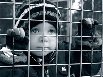 Детки в клетке. ufaved.info Детки в клетке. ufaved.info