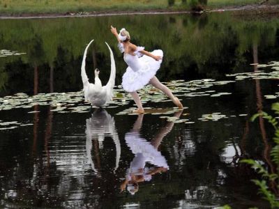 Лебединое озеро. Коллаж: www.tufing.com Лебединое озеро. Коллаж: www.tufing.com