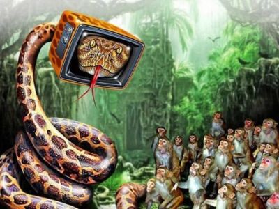 Телевизионный удав Каа и бандерлоги. Карикатура: pikabu.ru Телевизионный удав Каа и бандерлоги. Карикатура: pikabu.ru