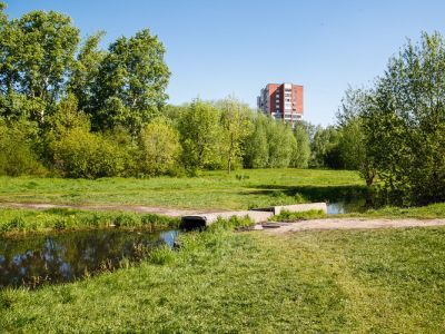 Парк 50-летия ВЛКСМ. Фото: Alshevskix.66.ru Парк 50-летия ВЛКСМ. Фото: Alshevskix.66.ru