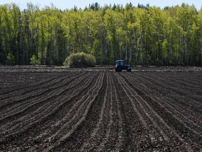 Фото: Донат Сорокин / ТАСС Фото: Донат Сорокин / ТАСС