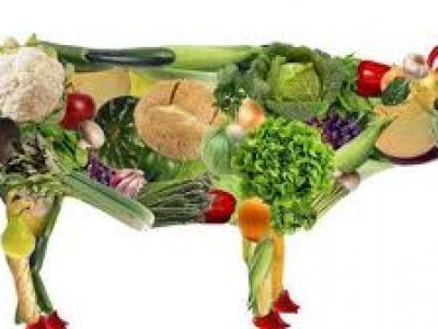 Вегетарианство Вегетарианство