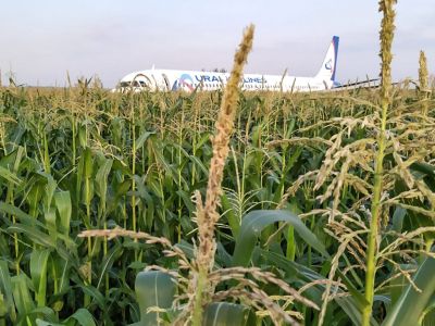 Жесткая посадка пассажирского А321 в Жуковском. Фото: МЧС РФ / РИА Новости Жесткая посадка пассажирского А321 в Жуковском. Фото: МЧС РФ / РИА Новости