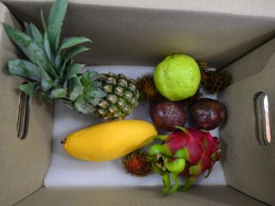 Провоз фруктов. Фото: e1.ru Провоз фруктов. Фото: e1.ru