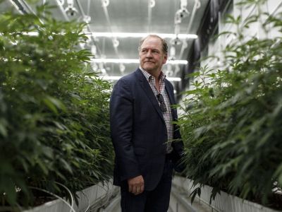 Марихуана и ее хозяин. Фото: Theglobeandmail.com Марихуана и ее хозяин. Фото: Theglobeandmail.com