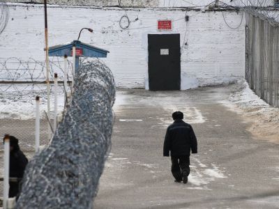 Колония. Евгений Епанчинцев/ТАСС Колония. Евгений Епанчинцев/ТАСС