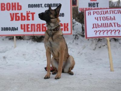 Экологический митинг. Фото: Марина Садчикова Ru Экологический митинг. Фото: Марина Садчикова Ru