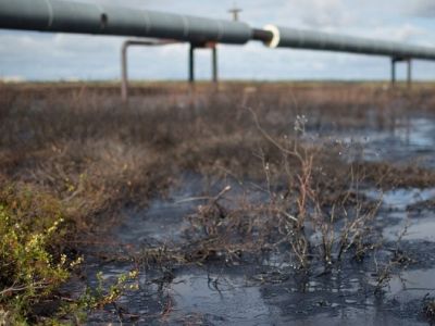 Утечка нефти. Фото: neftegaz.ru Утечка нефти. Фото: neftegaz.ru