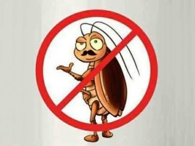 "Стоп, Таракан!" Карикатура: www.facebook.com/pasha.lesiants "Стоп, Таракан!" Карикатура: www.facebook.com/pasha.lesiants