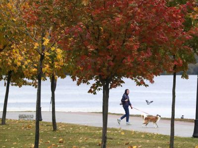 Фото: Михаил Метцель/ТАСС Фото: Михаил Метцель/ТАСС