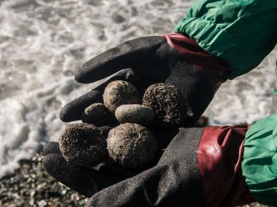 Фото: Dmitry Sharomov / Greenpeace Фото: Dmitry Sharomov / Greenpeace