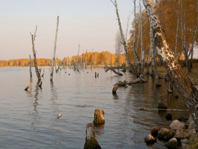 Озеро Урефты. Фото: ЧелСити Озеро Урефты. Фото: ЧелСити