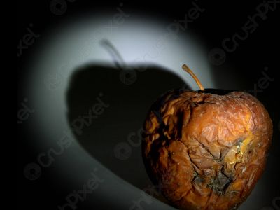 Гниющее яблоко. Фото: Crushpixel Гниющее яблоко. Фото: Crushpixel