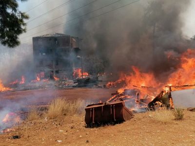 Лесные пожары, Турция. Фото: ria.ru Лесные пожары, Турция. Фото: ria.ru