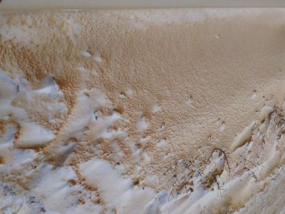 Желтый снег. Фото: ufatime.ru Желтый снег. Фото: ufatime.ru