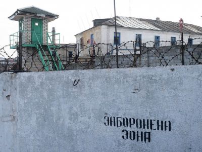 Колония Фото: Михаил Воскресенский Колония Фото: Михаил Воскресенский