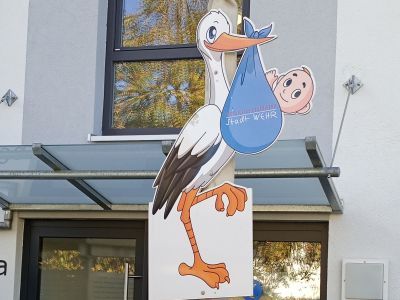 Аист. Фото: М. Долиев Аист. Фото: М. Долиев