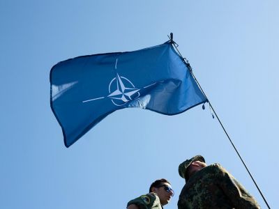 Фото: M-SUR / Shutterstock Фото: M-SUR / Shutterstock