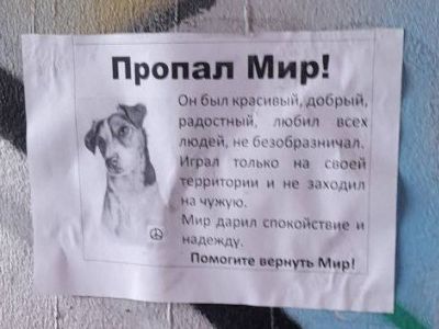 Объявление "Пропал Мир". Фото: t.me Объявление "Пропал Мир". Фото: t.me