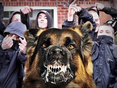 Уличная компания. Коллаж: Алесандр Воронин, Каспаров.Ru Уличная компания. Коллаж: Алесандр Воронин, Каспаров.Ru