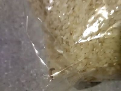 Продукты с червями. Фото: Сергей Горчаков, Каспаров.Ru Продукты с червями. Фото: Сергей Горчаков, Каспаров.Ru