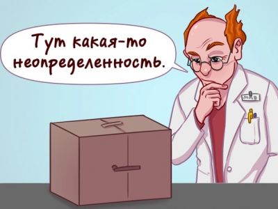Парадокс Шрёдингера (кот Шрёдингера). Карикатура: adme.media Парадокс Шрёдингера (кот Шрёдингера). Карикатура: adme.media