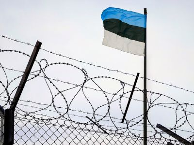 Флаг Эстонии. Фото: Dmitriy Melnikov / Shutterstock Флаг Эстонии. Фото: Dmitriy Melnikov / Shutterstock