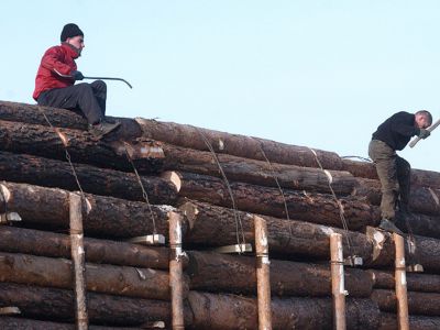Фото: Евгений Епанчинцев / РИА Новости Фото: Евгений Епанчинцев / РИА Новости