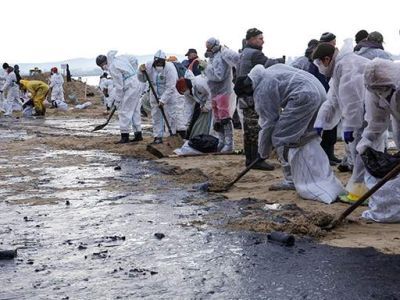 Мазут на пляже. Фото: iz.ru Мазут на пляже. Фото: iz.ru