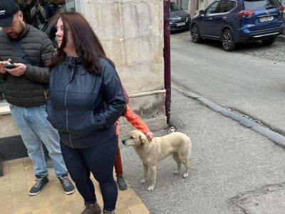 Улица в грузинском городе. Фото: t.me/anatoly_nesmiyan Улица в грузинском городе. Фото: t.me/anatoly_nesmiyan