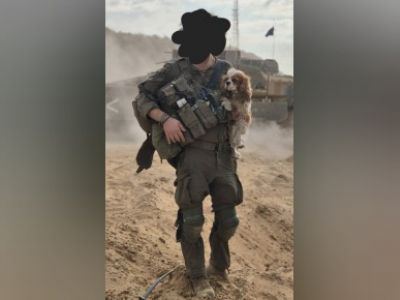 Израильский солдат со спасенной собакой. Фото: t.me/alexander_rodnyansky