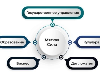 Мягкая сила. Фото: immunocap.ru