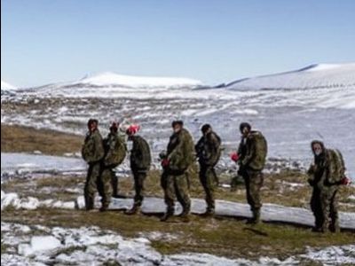Военные в Гренландии. Фото: dzen.ru