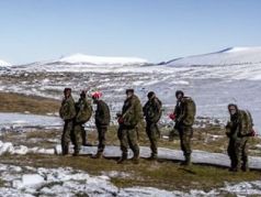 Военные в Гренландии. Фото: dzen.ru