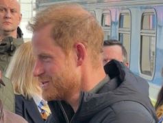 Принц Гарри. Фото: dailymail.com